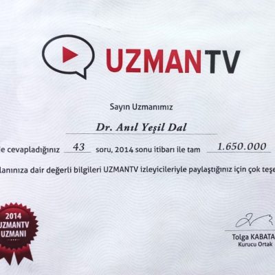 Uzman TV